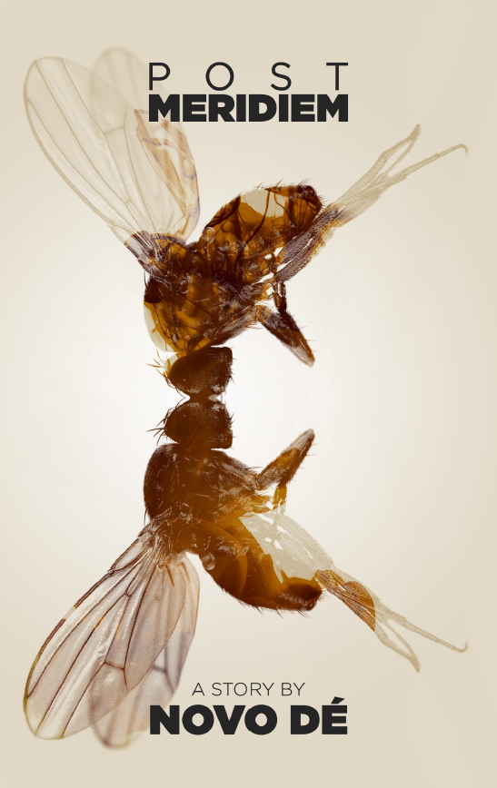 Post Meridiem Cover alt1